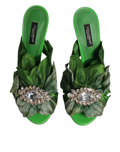Dolce & Gabbana Crystal Slides Keira Sandal Women's Shoes In Green