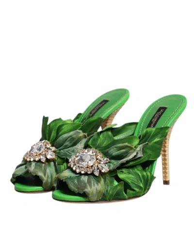 Dolce & Gabbana Crystal Slides Keira Sandal Women's Shoes In Green