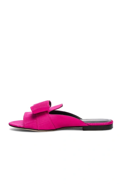 Shop Oscar De La Renta Grosgrain Nev Flats In Fuchsia