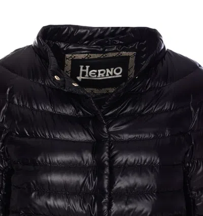 Herno Woman Puffer Black Size 6 Polyamide, Polyester, Cotton In Black