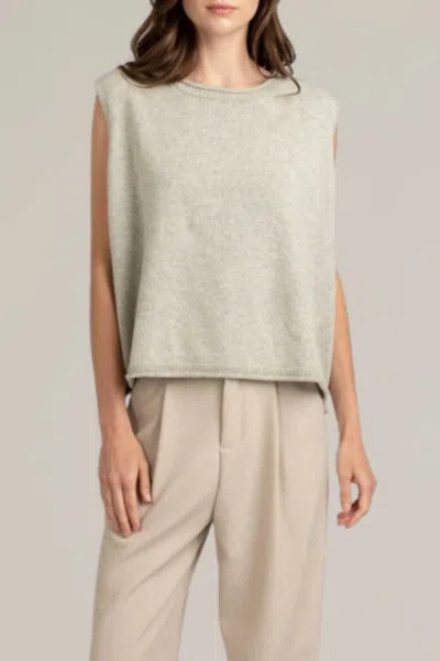 Shop Elle Grey Knit Pullover Sweater Vest In Neutral In Beige