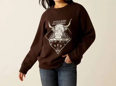 Ariat Taurus Oversized Crew Sweatshirt In Mole In Multi