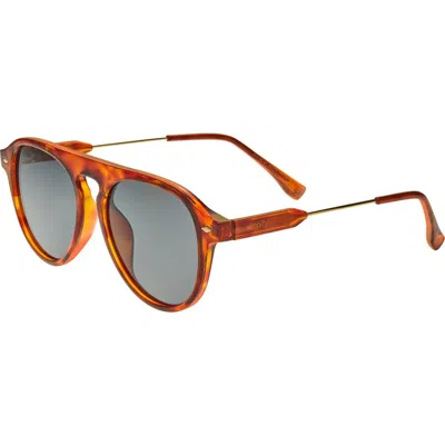 Simplify Carter Polarized Sunglasses In Brown