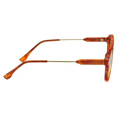 Simplify Carter Polarized Sunglasses In Brown