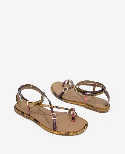 Kenneth Cole Paros Ankle Strap Sandal In Multi Postal Snake