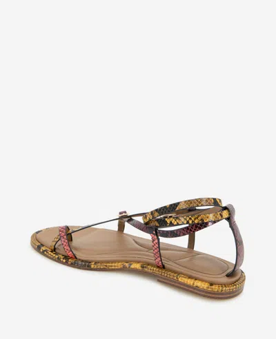 Kenneth Cole Paros Ankle Strap Sandal In Multi Postal Snake