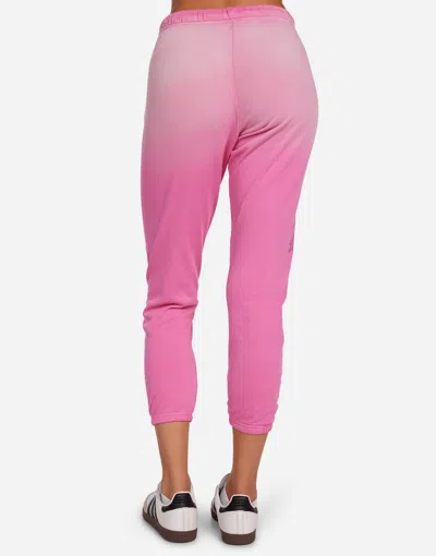 Lauren Moshi Alana Vintage Pink Dragon In Neon Pink Ombre