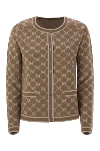 S Max Mara Tivoli Wool And Cashmere Cardigan In Brown
