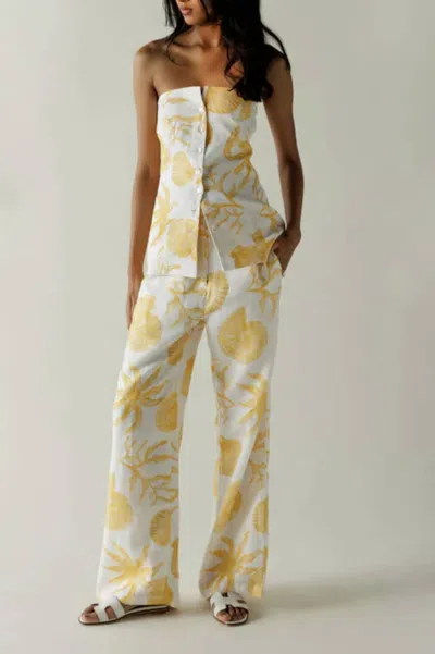 Summer Away Costa Pants In Sunshine Shell In Multi