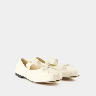 Shop Anine Bing Ballerinas Jolie In White