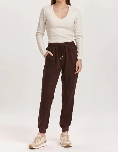 Dear John Denim Jacey Joggers In Ground Coffee In Multi