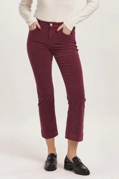 Dear John Denim Jeanne Cropped Flare Pants In Plum Berry In Multi