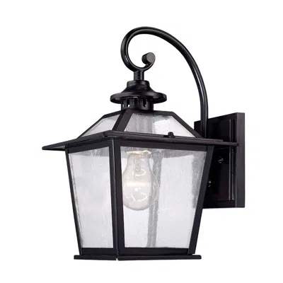 Homezia Matte Black Terrarium Shape Wall Light