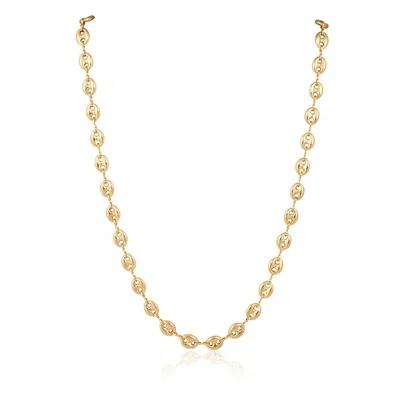 Sahira Farrah Chain In Gold In Gold