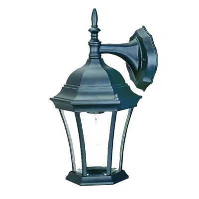Homezia Matte Black Hanging Carousel Lantern Wall Light
