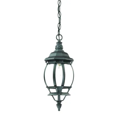 Homezia Matte Black Glass Globe Hanging Light