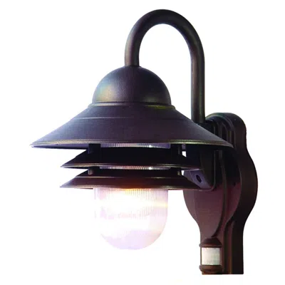 Homezia Antiqued Bronze Motion Sensor Outdoor Wall Light
