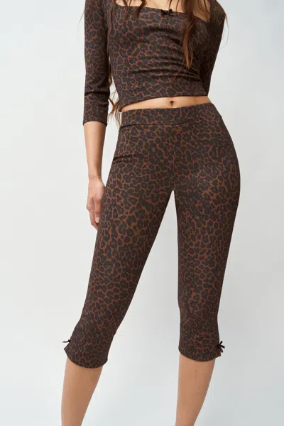 Danielle Guizio Ny Caria Capri In Leopard