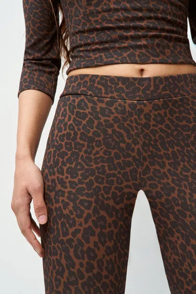 Danielle Guizio Ny Caria Capri In Leopard