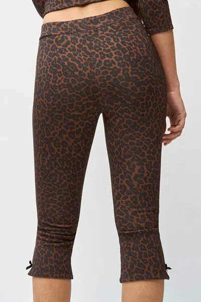 Danielle Guizio Ny Caria Capri In Leopard