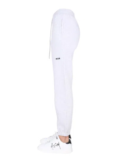 Msgm Jogging Pants With Logo Print In Grey
