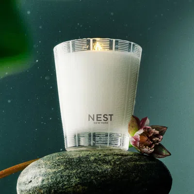 Nest Forest Rain Candle