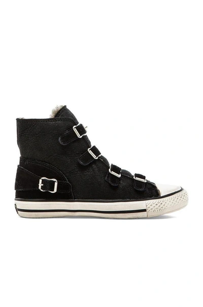 Shop Ash Virginy Sneaker In Black