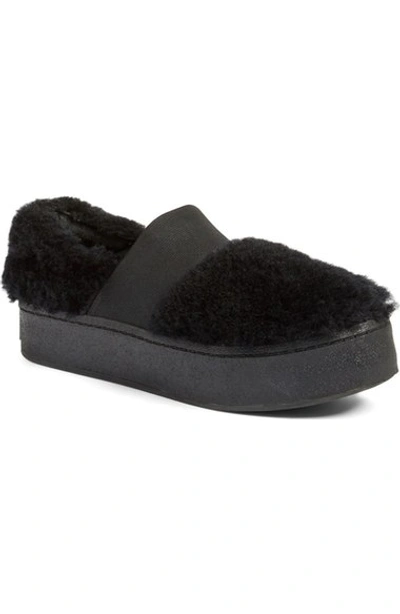 Shop Opening Ceremony 'cici Curly' Genuine Shearling Platform Sneaker (women) In Black Shearling