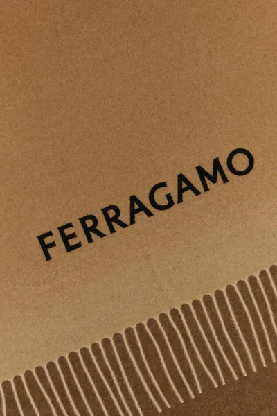 Ferragamo Salvatore  Scarves And Foulards In Brown