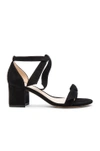 ALEXANDRE BIRMAN SUEDE CLARITA SANDALS,B3500100210002