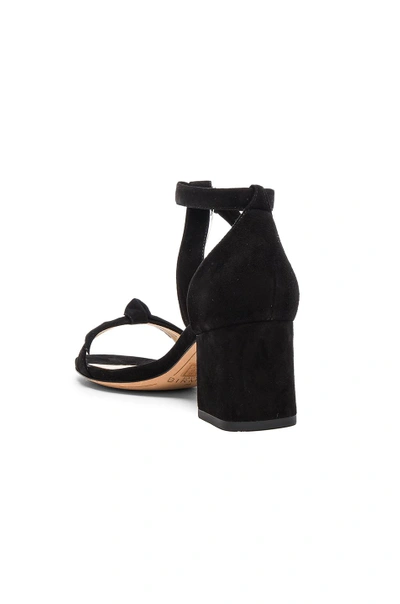 Shop Alexandre Birman Suede Clarita Sandals In Black