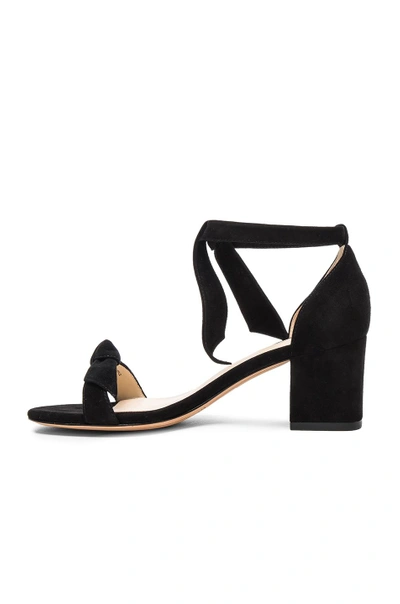 Shop Alexandre Birman Suede Clarita Sandals In Black