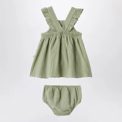 Teddy & Minou Sage Green Dress With Ruffles In Green