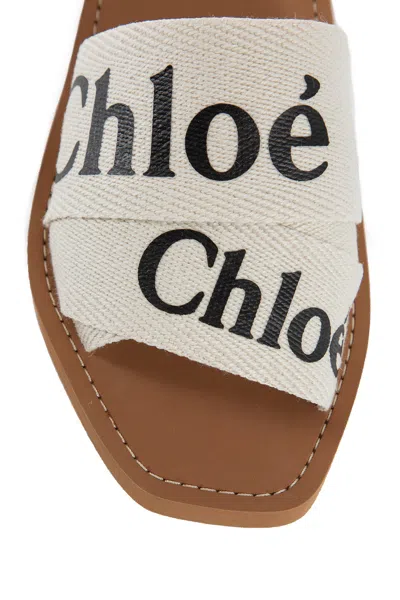 Chloé Chloè Sandals In White