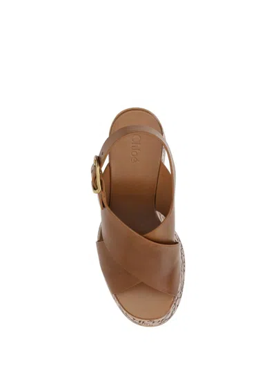 Shop Chloé Sandals In Brown