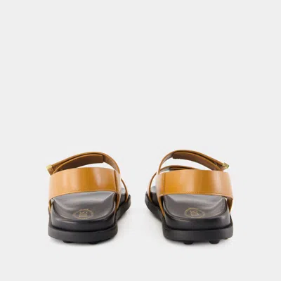 Tod's Leather Strappy Sandals In Brown