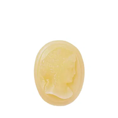 Trudon Abd El Kader Cameos