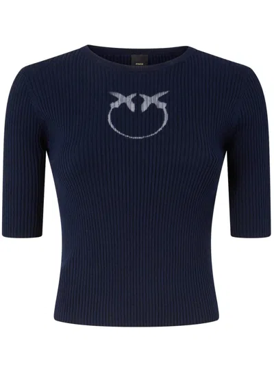 Pinko Crewneck Embroidered Tritone Ribbed Short Sleeves Sweater In Blue