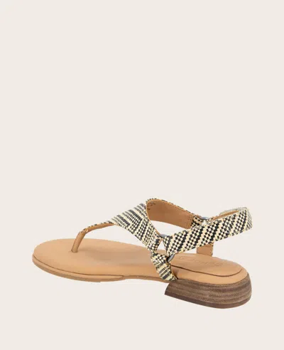 Gentle Souls - Holly Raffia Ankle Strap Thong In Black,tan Raffia