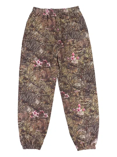 Sp5der Web Og "camo" Track Pants In Brown