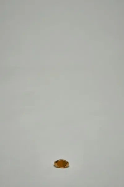 Dries Van Noten 251-028203-092 03780-ring M251-304 Q.092 Ring Tiger Eye 971 In There Is No Color Specification For This Product.