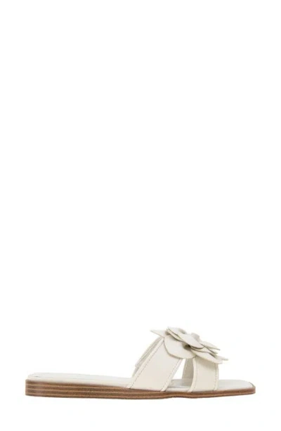 Bcbgeneration Bcbg Mazey Slide Sandal In Stone