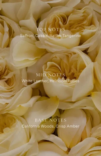 Oak Essentials Cuir Rose Candle In No Color