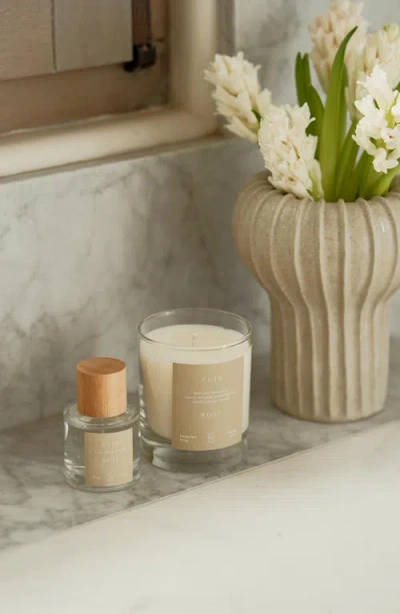 Oak Essentials Cuir Rose Candle In No Color