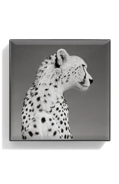 Chantecaille Luminescent Eyeshadow In Cheetah