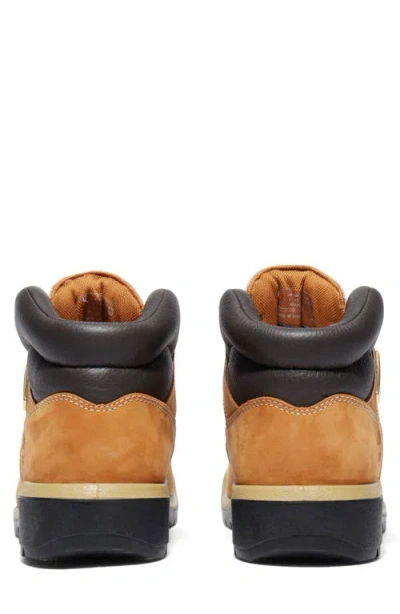 Timberland Mens  Field Boots In Multi