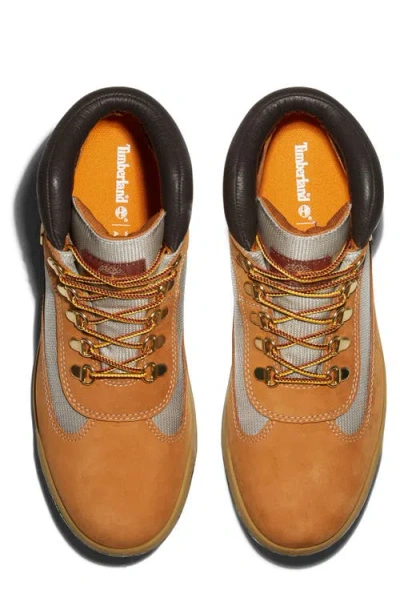Timberland Mens  Field Boots In Multi