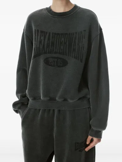 Alexander Wang Graphic Sweatshirt In Black