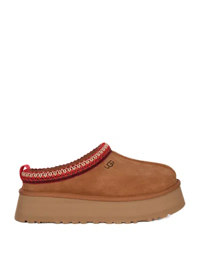 Ugg Tazz Boots In Marrone
