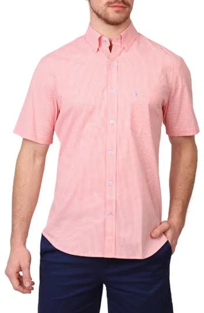 Tailorbyrd Micro Gingham Short Sleeve Button-up Shirt In Tangerine